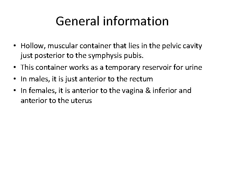 General information • Hollow, muscular container that lies in the pelvic cavity just posterior