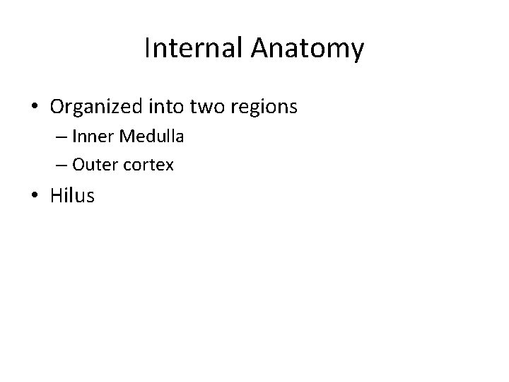 Internal Anatomy • Organized into two regions – Inner Medulla – Outer cortex •