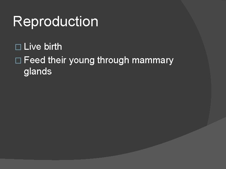 Reproduction � Live birth � Feed their young through mammary glands 