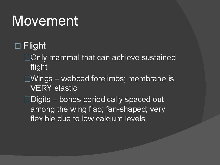 Movement � Flight �Only mammal that can achieve sustained flight �Wings – webbed forelimbs;