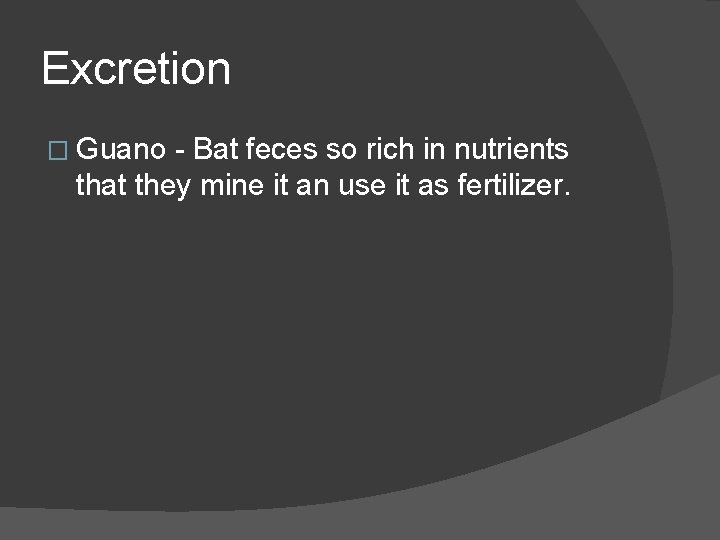 Excretion � Guano - Bat feces so rich in nutrients that they mine it