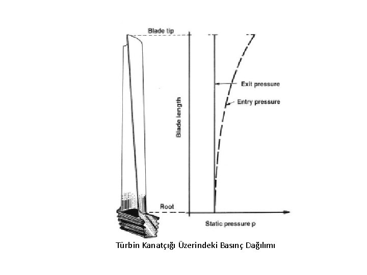 Türbin Kanatçığı Üzerindeki Basınç Dağılımı 