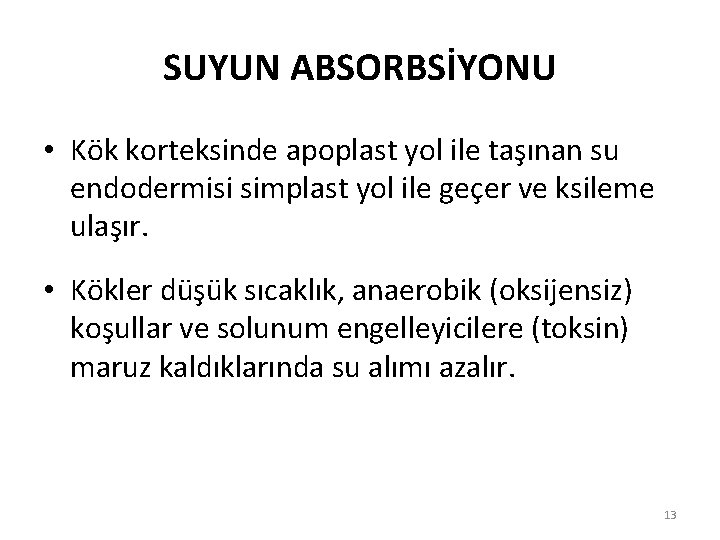 SUYUN ABSORBSİYONU • Kök korteksinde apoplast yol ile taşınan su endodermisi simplast yol ile