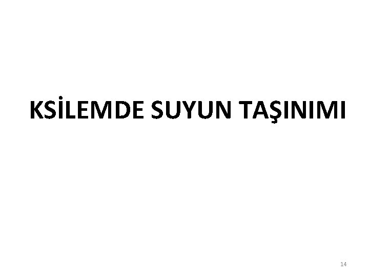 KSİLEMDE SUYUN TAŞINIMI 14 