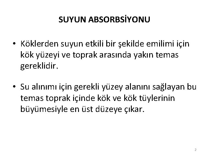 SUYUN ABSORBSİYONU • Köklerden suyun etkili bir şekilde emilimi için kök yüzeyi ve toprak