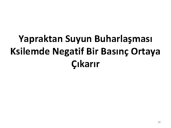 Yapraktan Suyun Buharlaşması Ksilemde Negatif Bir Basınç Ortaya Çıkarır 26 