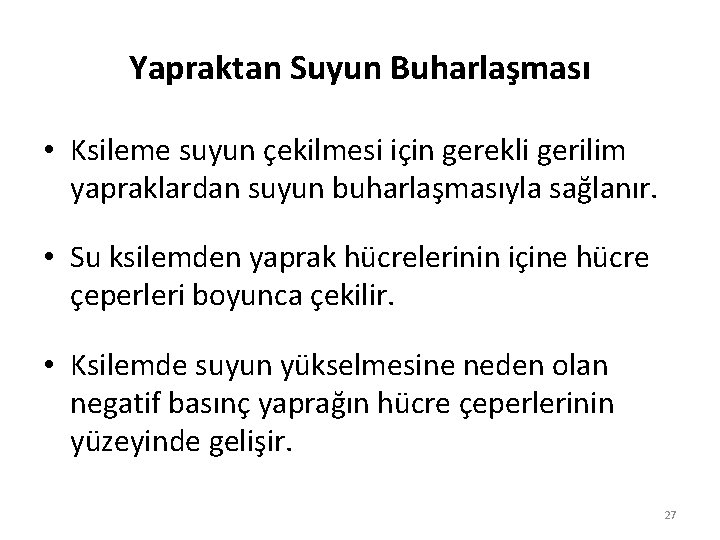 Yapraktan Suyun Buharlaşması • Ksileme suyun çekilmesi için gerekli gerilim yapraklardan suyun buharlaşmasıyla sağlanır.