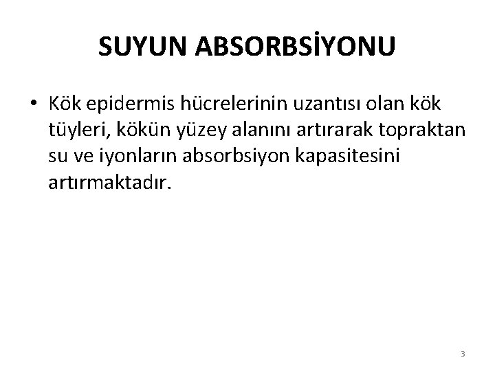 SUYUN ABSORBSİYONU • Kök epidermis hücrelerinin uzantısı olan kök tüyleri, kökün yüzey alanını artırarak