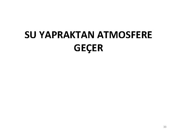 SU YAPRAKTAN ATMOSFERE GEÇER 33 