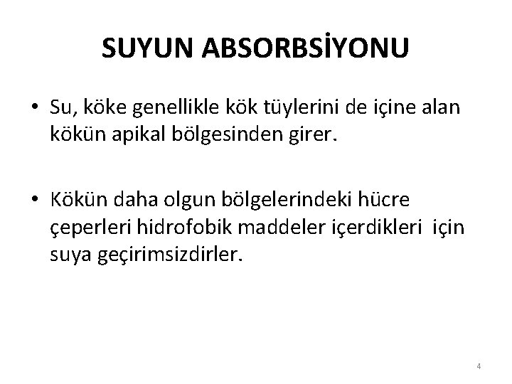 SUYUN ABSORBSİYONU • Su, köke genellikle kök tüylerini de içine alan kökün apikal bölgesinden