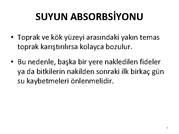 SUYUN ABSORBSİYONU • Toprak ve kök yüzeyi arasındaki yakın temas toprak karıştırılırsa kolayca bozulur.