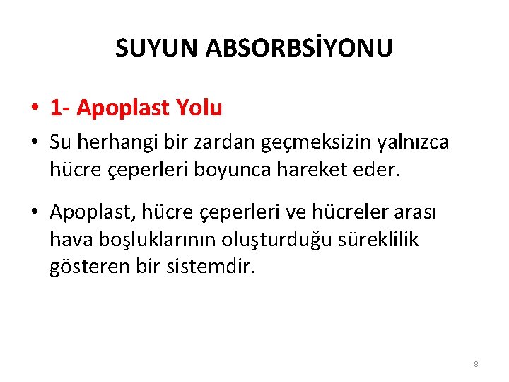 SUYUN ABSORBSİYONU • 1 - Apoplast Yolu • Su herhangi bir zardan geçmeksizin yalnızca