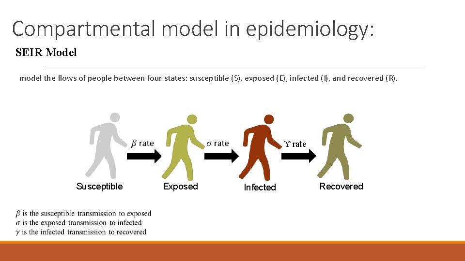 Compartmental model in epidemiology: SEIR Model model the flows of people between four states: