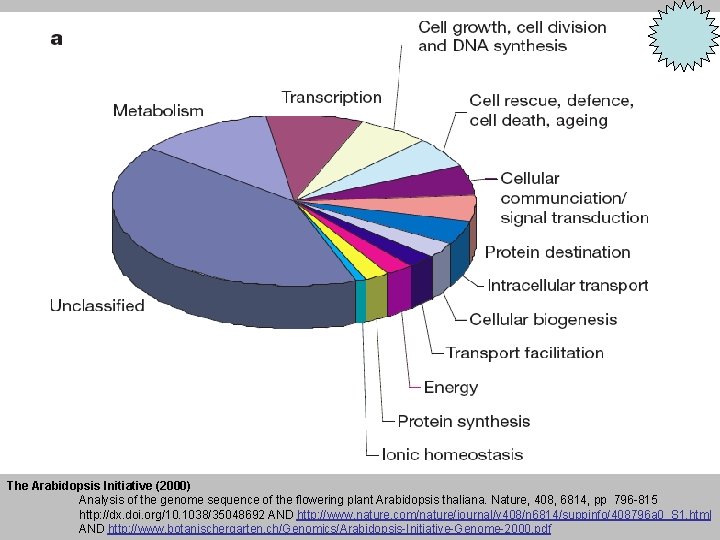 The Arabidopsis Initiative (2000) Analysis of the genome sequence of the flowering plant Arabidopsis