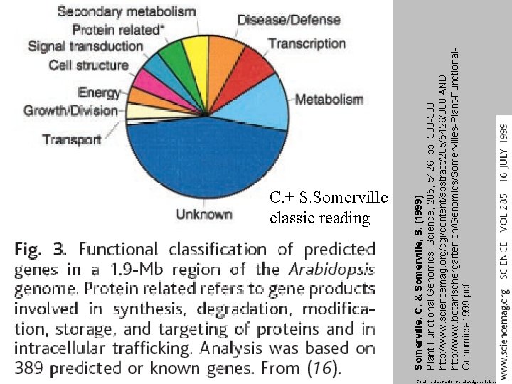 Somerville, C. & Somerville, S. (1999) Plant Functional Genomics. Science, 285, 5426, pp 380