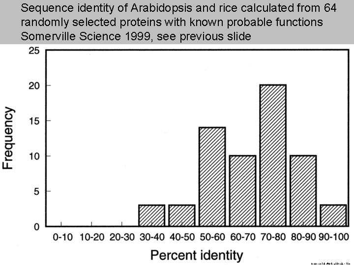 Sequence identity of Arabidopsis and rice calculated from 64 randomly selected proteins with known