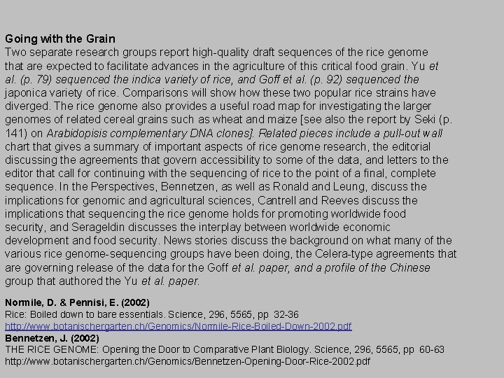 Going with the Grain Two separate research groups report high-quality draft sequences of the