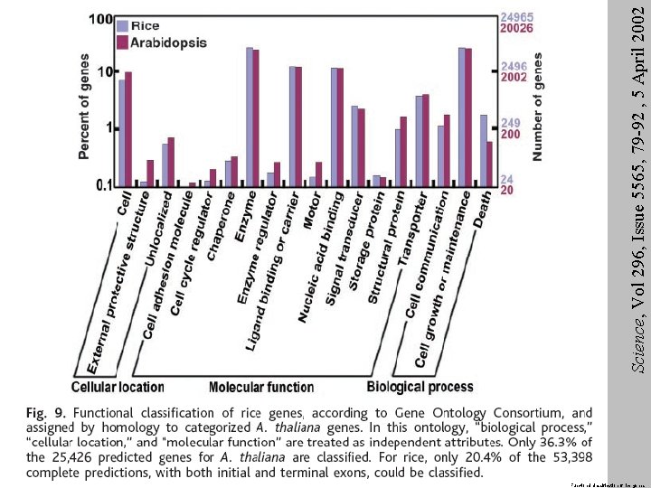 Functional classification of rice genes Science, Vol 296, Issue 5565, 79 -92 , 5