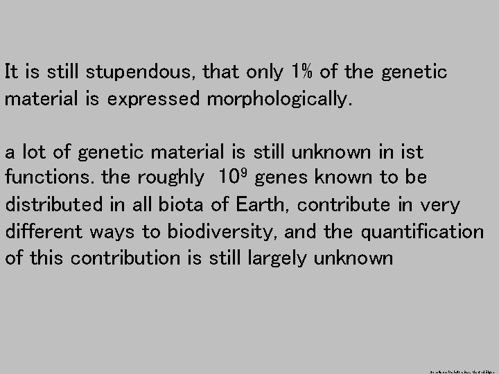 It is still stupendous, that only 1% of the genetic material is expressed morphologically.