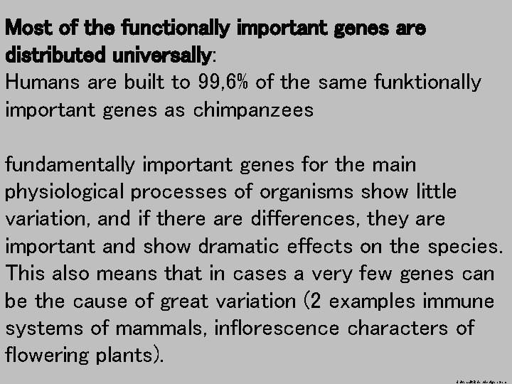 Most of the functionally important genes are distributed universally: Humans are built to 99,