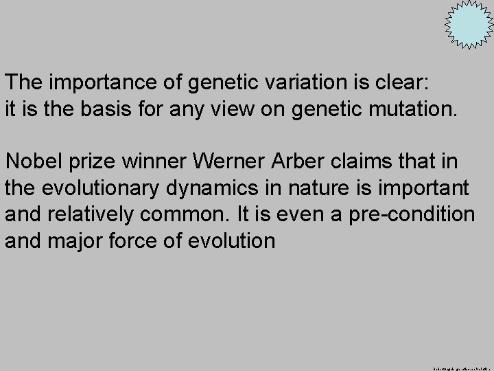 The importance of genetic variation is clear: it is the basis for any view