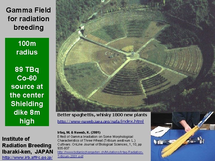 Gamma Field for radiation breeding 100 m radius 89 TBq Co-60 source at the
