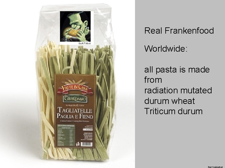 Real Frankenfood Worldwide: all pasta is made from radiation mutated durum wheat Triticum durum