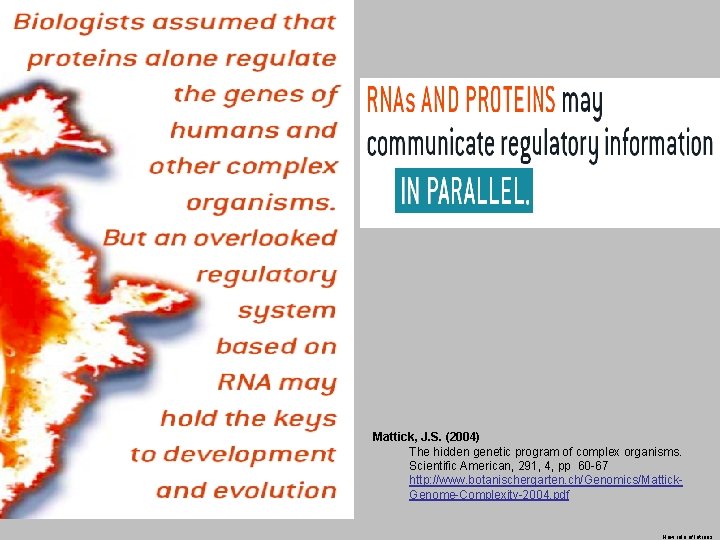 Mattick, J. S. (2004) The hidden genetic program of complex organisms. Scientific American, 291,