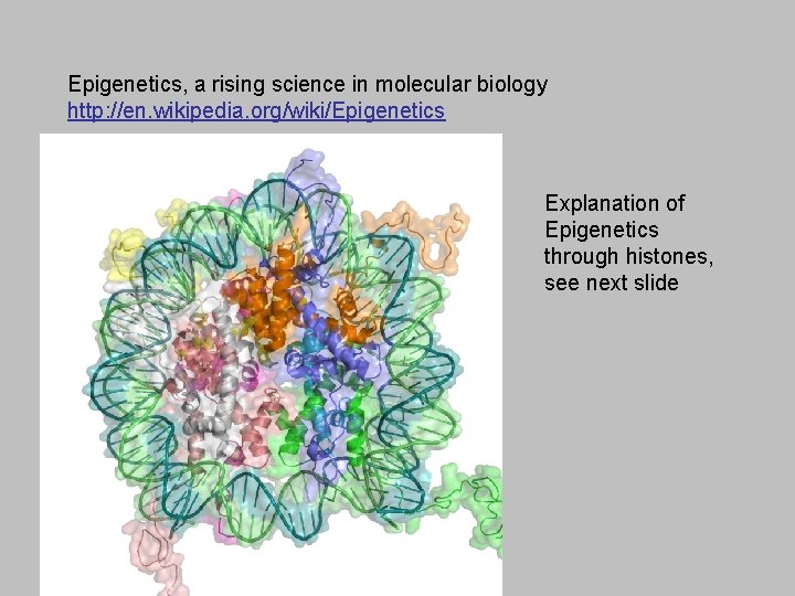 Epigenetics, a rising science in molecular biology http: //en. wikipedia. org/wiki/Epigenetics Explanation of Epigenetics