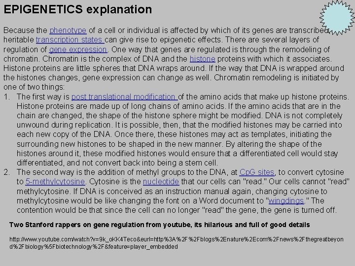 EPIGENETICS explanation Because the phenotype of a cell or individual is affected by which