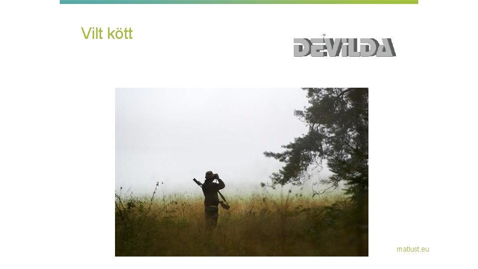 Vilt kött » matlust. eu 