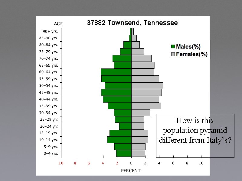 How is this population pyramid different from Italy’s? 