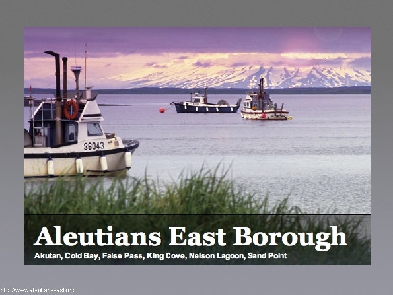 http: //www. aleutianseast. org 