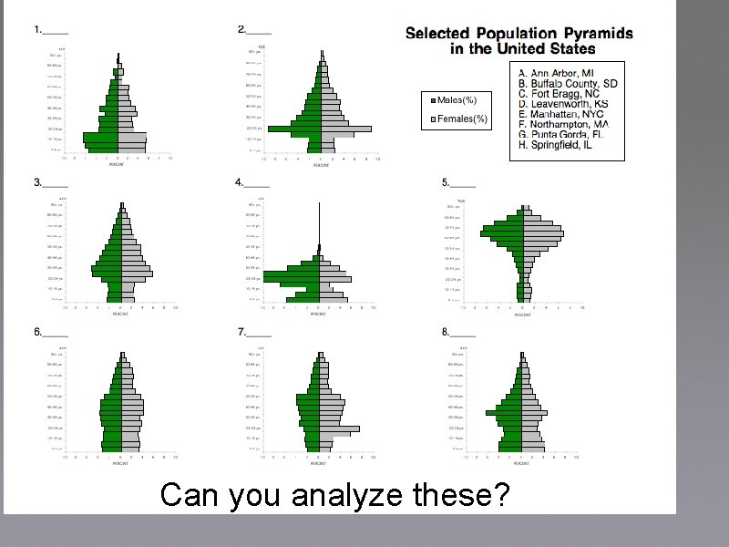 Can you analyze these? 