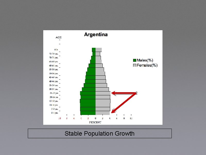 Stable Population Growth 