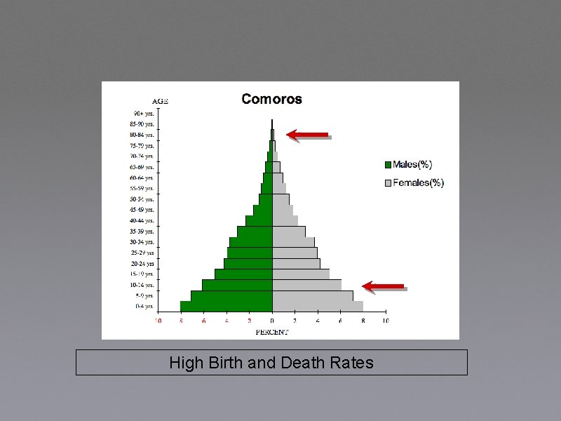 High Birth and Death Rates 