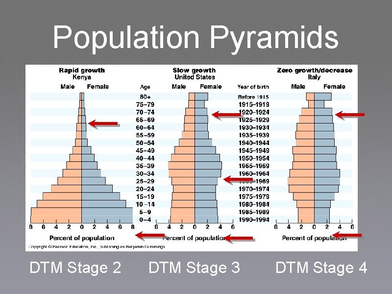 Population Pyramids DTM Stage 2 DTM Stage 3 DTM Stage 4 