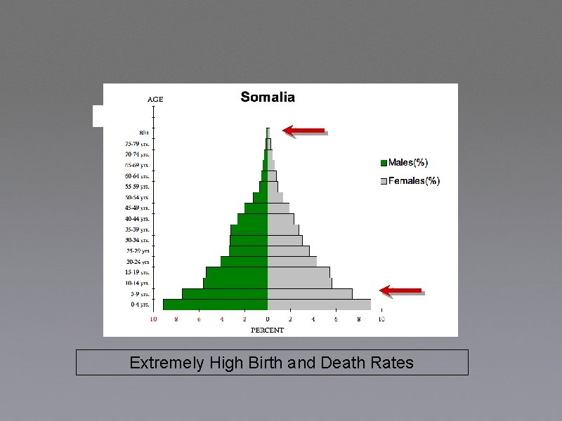 Extremely High Birth and Death Rates 