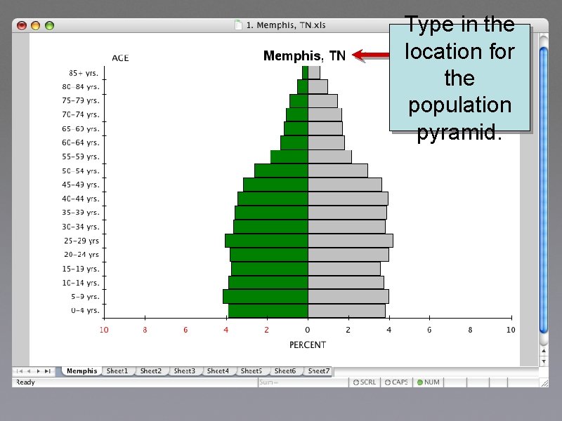 Type in the location for the population pyramid. 