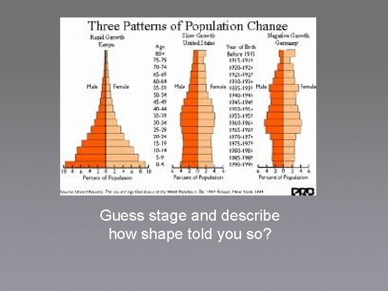 Guess stage and describe how shape told you so? 