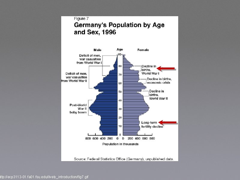 http: //ecp 3113 -01. fa 01. fsu. edu/lively_introduction/fig 7. gif 