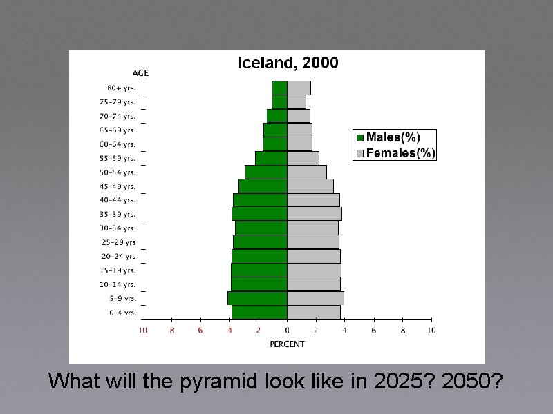 What will the pyramid look like in 2025? 2050? 