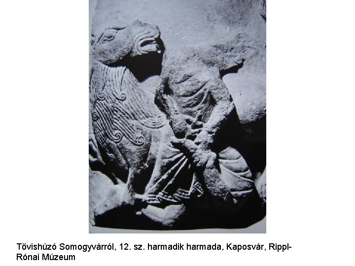 Tövishúzó Somogyvárról, 12. sz. harmadik harmada, Kaposvár, Rippl. Rónai Múzeum 