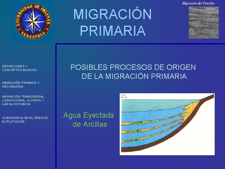Migración del Petróleo MIGRACIÓN PRIMARIA DEFINICIONES Y CONCEPTOS BASICOS POSIBLES PROCESOS DE ORIGEN DE