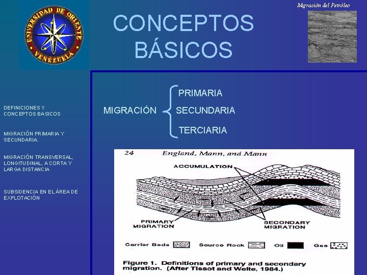 Migración del Petróleo CONCEPTOS BÁSICOS PRIMARIA DEFINICIONES Y CONCEPTOS BASICOS MIGRACIÓN PRIMARIA Y SECUNDARIA.