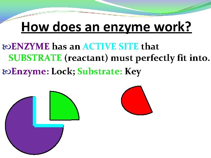 Enzymes Kathryn Blair M S BIO 101 Core