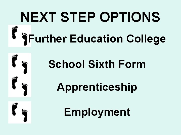 NEXT STEP OPTIONS Further Education College School Sixth Form Apprenticeship Employment 