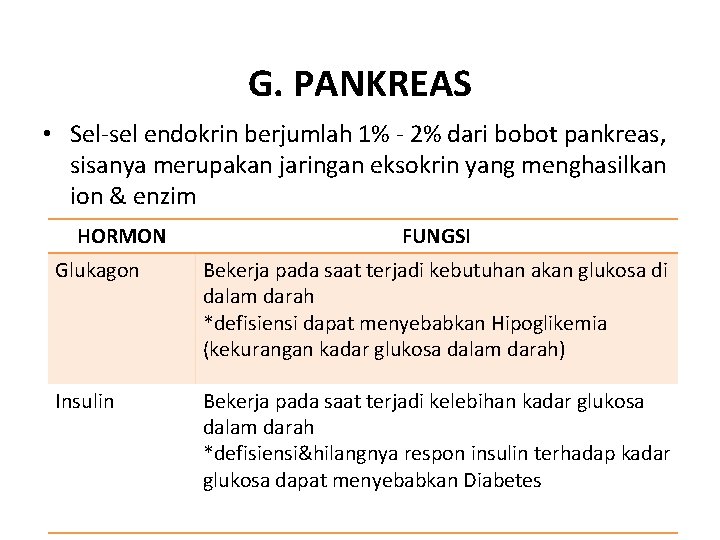 G. PANKREAS • Sel-sel endokrin berjumlah 1% - 2% dari bobot pankreas, sisanya merupakan