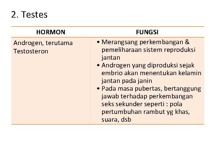 2. Testes HORMON Androgen, terutama Testosteron FUNGSI • Merangsang perkembangan & pemeliharaan sistem reproduksi