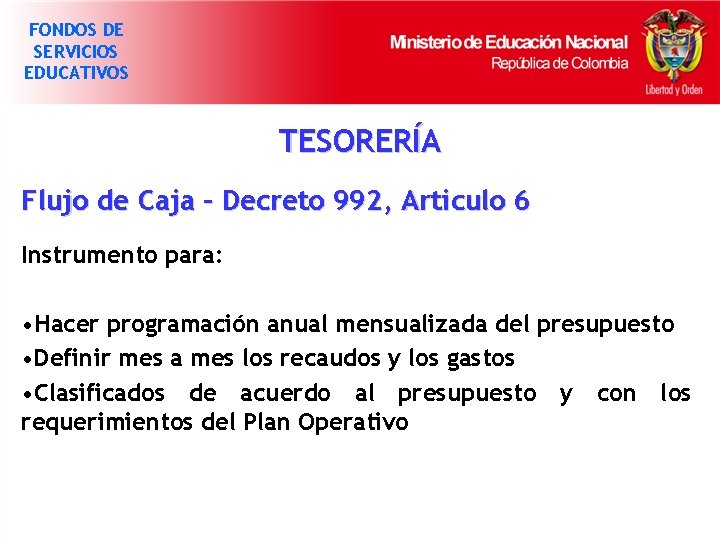 FONDOS DE SERVICIOS EDUCATIVOS TESORERÍA Flujo de Caja – Decreto 992, Articulo 6 Instrumento